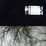 【画像】儚い箱展DM01